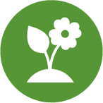 Cotonea Website Icons BioBaumwolle 01