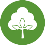 Cotonea Website Icons BioBaumwolle 01