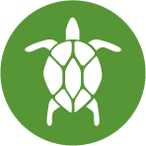 Cotonea Website Icons BioBaumwolle 01