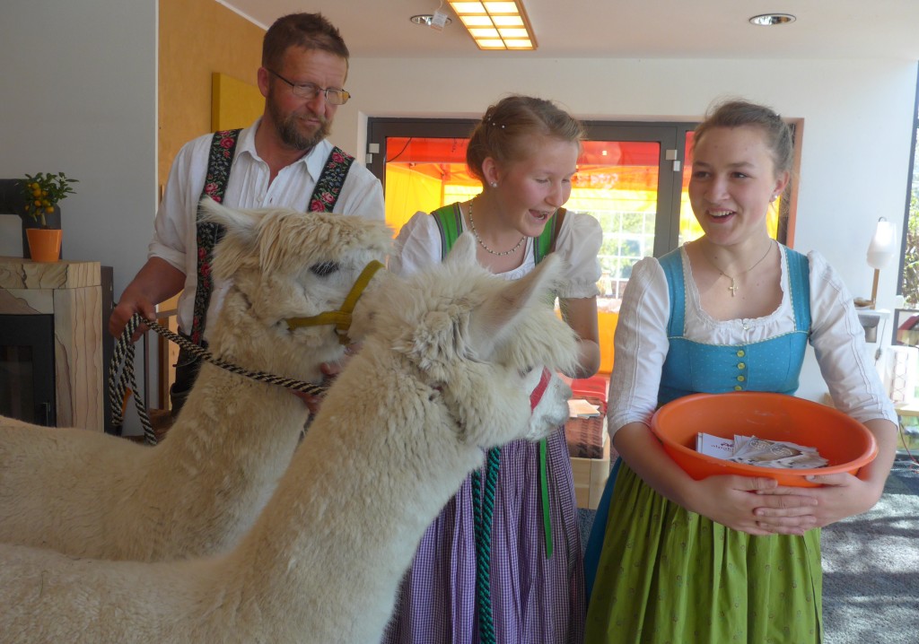 Palmmarkt2017-2
